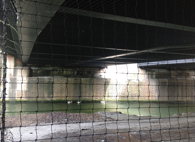 spinozabrug vogelwering netten Kusters Bird Control